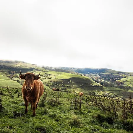 Maison 50 Belvedere Du Cezallier Дом отдыха